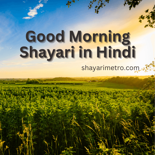 Good Morning Shayari | दिल को छू जाने वाली गुड मॉर्निंग शायरी