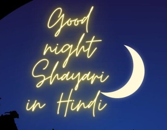 Khoobsurat 50+ Good Night Love Shayari in Hindi | शुभ रात्रि मैसेज हिंदी Shayari Metro